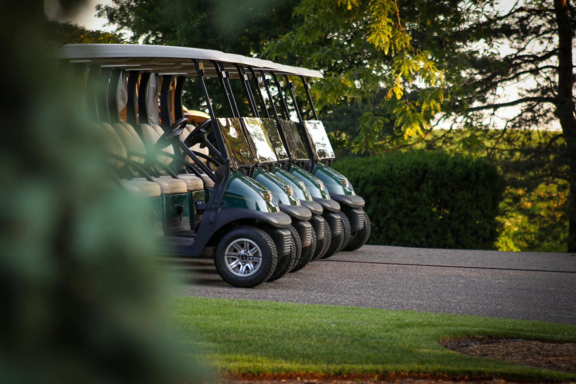Fürstliches Golf-Resort Bad Waldsee, Golf, 45-Loch Golf-Anlage, LED Nachtgolf-Anlage, Golfschule, Golfturniere, New Course, Old Course, 9-Loch-Kurzplatz, Greenkeeping, Fürstlicher Golf-Club Oberschwaben, Fürstliches Golf-Hotel, Golf-Angebote, Golf-Schnupperkurse, Natur-Lehrpfad, Rund-Wanderwege, Kaffee, Restaurant, Vinothek, erlesene Weine, Bar, selbstgebackene Kuchen, Snacks, Mittagstisch, Sonnenterrasse, Gin - Greenkeeper's Cut, Bier vom Fass, kleine Gerichte, Burger, vegetarisch, vegan, Laktose frei, Gluten frei, Café-Restaurant Ausblick T-19, Restaurant im Hofgut
