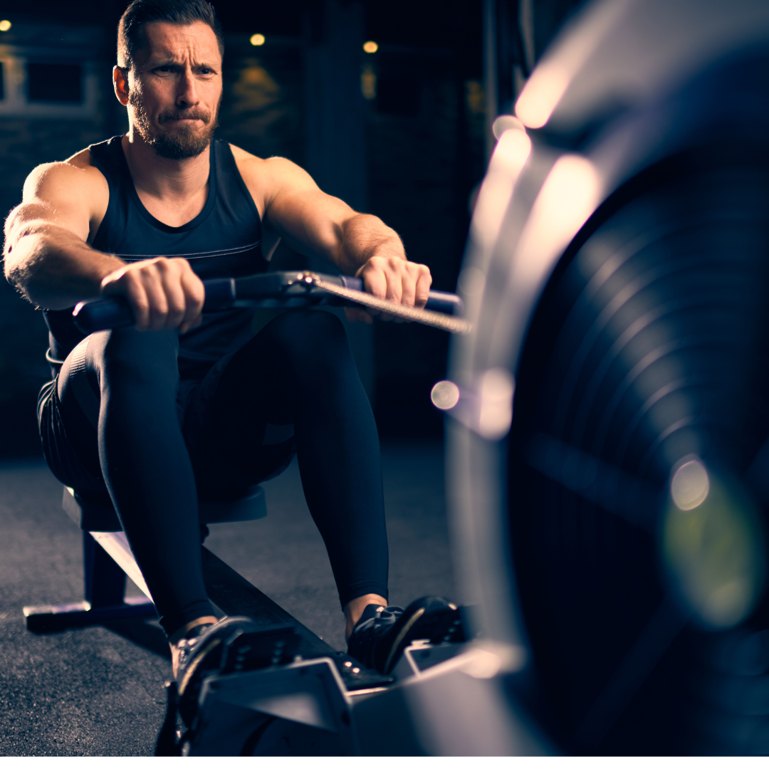 Fürstliches Golf-Resort Bad Waldsee, Golf, 45-Loch Golf-Anlage, LED Nachtgolf-Anlage, Golfschule, Golfturniere, New Course, Old Course, 9-Loch-Kurzplatz, Greenkeeping, Fürstlicher Golf-Club Oberschwaben, Fürstliches Golf-Hotel, Golf-Angebote, Golf-Schnupperkurse, Natur-Lehrpfad, Rund-Wanderwege, Kaffee, Restaurant, Vinothek, erlesene Weine, Bar, selbstgebackene Kuchen, Snacks, Mittagstisch, Sonnenterrasse, Gin - Greenkeeper's Cut, Bier vom Fass, kleine Gerichte, Burger, vegetarisch, vegan, Laktose frei, Gluten frei, Café-Restaurant Ausblick T-19, Restaurant im Hofgut