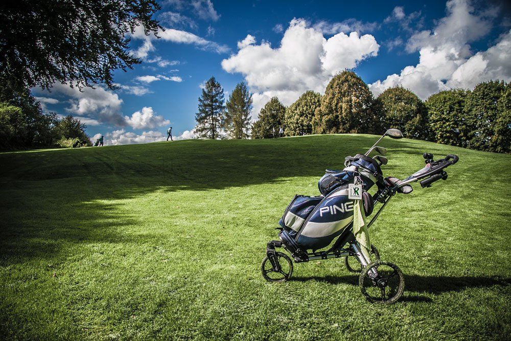 Fürstliches Golf-Resort Bad Waldsee, Golf, 45-Loch Golf-Anlage, LED Nachtgolf-Anlage, Golfschule, Golfturniere, New Course, Old Course, 9-Loch-Kurzplatz, Greenkeeping, Fürstlicher Golf-Club Oberschwaben, Fürstliches Golf-Hotel, Golf-Angebote, Golf-Schnupperkurse, Natur-Lehrpfad, Rund-Wanderwege, Kaffee, Restaurant, Vinothek, erlesene Weine, Bar, selbstgebackene Kuchen, Snacks, Mittagstisch, Sonnenterrasse, Gin - Greenkeeper's Cut, Bier vom Fass, kleine Gerichte, Burger, vegetarisch, vegan, Laktose frei, Gluten frei, Café-Restaurant Ausblick T-19, Restaurant im Hofgut