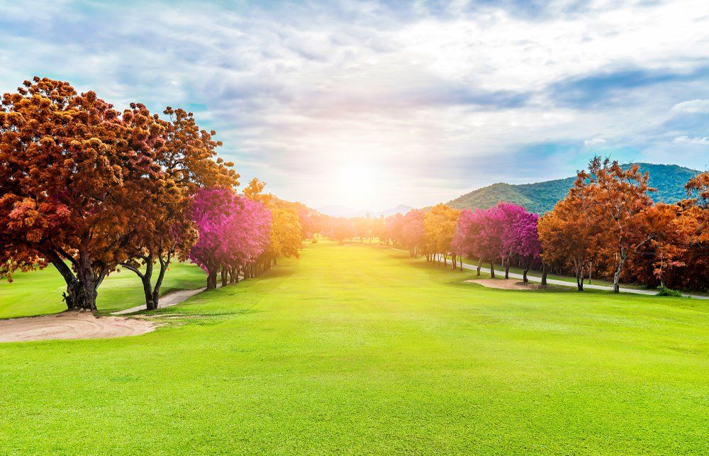 Fürstliches Golf-Resort Bad Waldsee, Golf, 45-Loch Golf-Anlage, LED Nachtgolf-Anlage, Golfschule, Golfturniere, New Course, Old Course, 9-Loch-Kurzplatz, Greenkeeping, Fürstlicher Golf-Club Oberschwaben, Fürstliches Golf-Hotel, Golf-Angebote, Golf-Schnupperkurse, Natur-Lehrpfad, Rund-Wanderwege, Kaffee, Restaurant, Vinothek, erlesene Weine, Bar, selbstgebackene Kuchen, Snacks, Mittagstisch, Sonnenterrasse, Gin - Greenkeeper's Cut, Bier vom Fass, kleine Gerichte, Burger, vegetarisch, vegan, Laktose frei, Gluten frei, Café-Restaurant Ausblick T-19, Restaurant im Hofgut