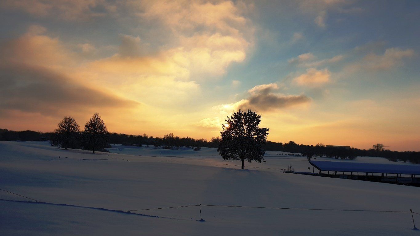 Fürstliches Golf-Resort Bad Waldsee, Golf, 45-Loch Golf-Anlage, LED Nachtgolf-Anlage, Golfschule, Golfturniere, New Course, Old Course, 9-Loch-Kurzplatz, Greenkeeping, Fürstlicher Golf-Club Oberschwaben, Fürstliches Golf-Hotel, Golf-Angebote, Golf-Schnupperkurse, Natur-Lehrpfad, Rund-Wanderwege, Kaffee, Restaurant, Vinothek, erlesene Weine, Bar, selbstgebackene Kuchen, Snacks, Mittagstisch, Sonnenterrasse, Gin - Greenkeeper's Cut, Bier vom Fass, kleine Gerichte, Burger, vegetarisch, vegan, Laktose frei, Gluten frei, Café-Restaurant Ausblick T-19, Restaurant im Hofgut