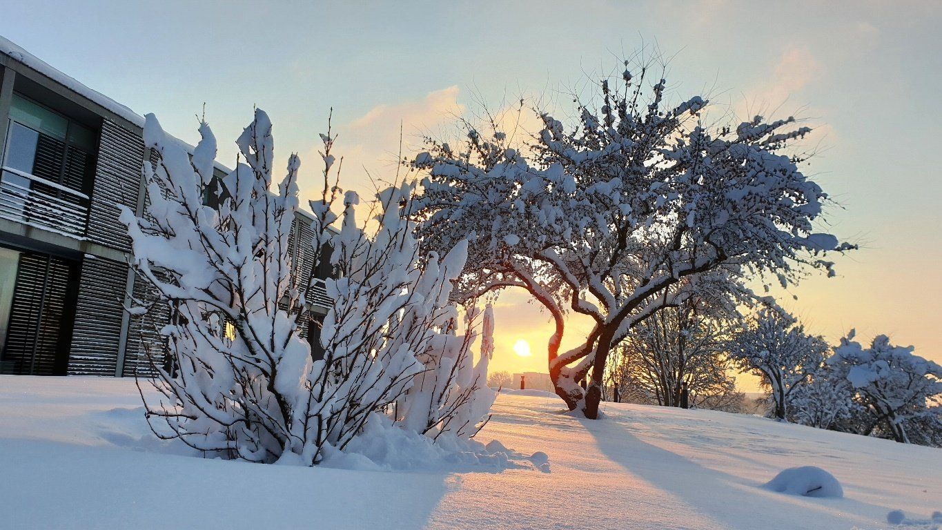 Fürstliches Golf-Resort Bad Waldsee, Golf, 45-Loch Golf-Anlage, LED Nachtgolf-Anlage, Golfschule, Golfturniere, New Course, Old Course, 9-Loch-Kurzplatz, Greenkeeping, Fürstlicher Golf-Club Oberschwaben, Fürstliches Golf-Hotel, Golf-Angebote, Golf-Schnupperkurse, Natur-Lehrpfad, Rund-Wanderwege, Kaffee, Restaurant, Vinothek, erlesene Weine, Bar, selbstgebackene Kuchen, Snacks, Mittagstisch, Sonnenterrasse, Gin - Greenkeeper's Cut, Bier vom Fass, kleine Gerichte, Burger, vegetarisch, vegan, Laktose frei, Gluten frei, Café-Restaurant Ausblick T-19, Restaurant im Hofgut