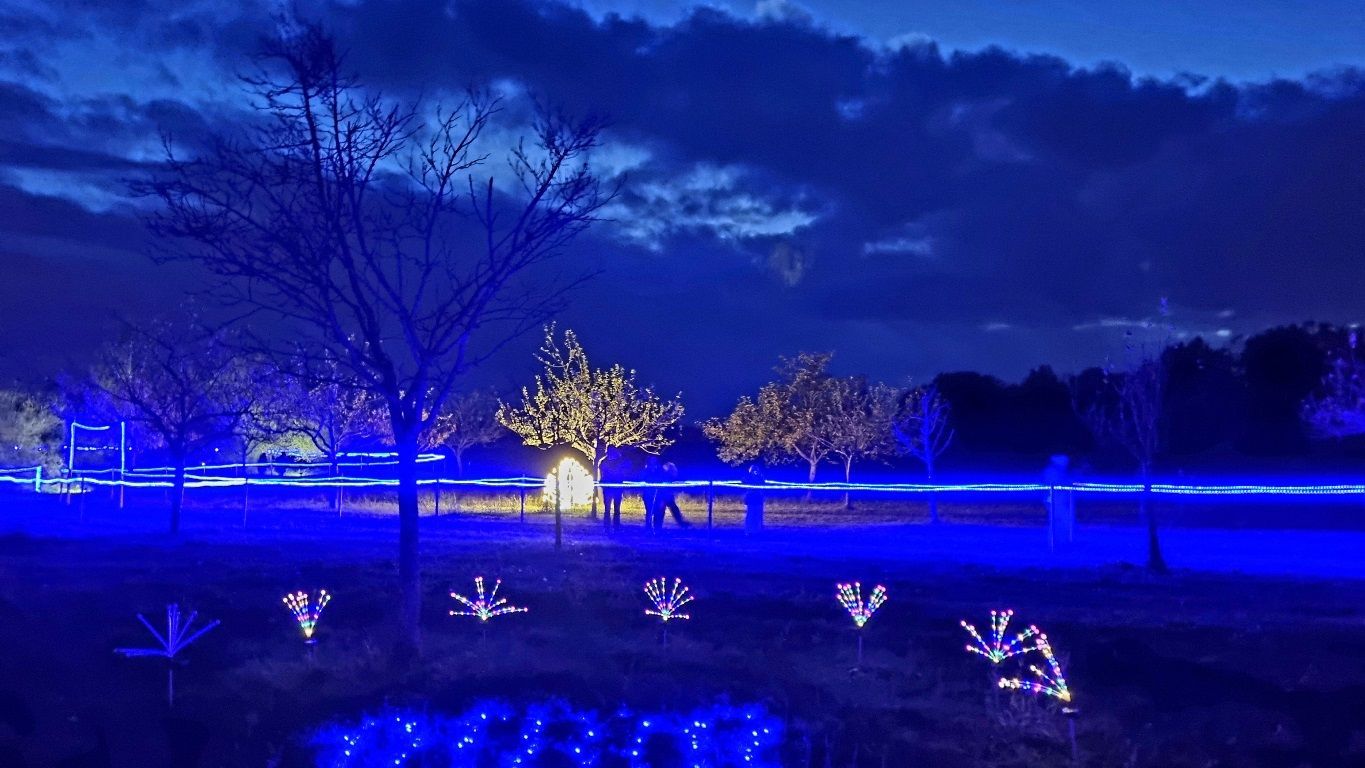 Fürstliches Golf-Resort Bad Waldsee, Golf, 45-Loch Golf-Anlage, LED Nachtgolf-Anlage, Golfschule, Golfturniere, New Course, Old Course, 9-Loch-Kurzplatz, Greenkeeping, Fürstlicher Golf-Club Oberschwaben, Fürstliches Golf-Hotel, Golf-Angebote, Golf-Schnupperkurse, Natur-Lehrpfad, Rund-Wanderwege, Kaffee, Restaurant, Vinothek, erlesene Weine, Bar, selbstgebackene Kuchen, Snacks, Mittagstisch, Sonnenterrasse, Gin - Greenkeeper's Cut, Bier vom Fass, kleine Gerichte, Burger, vegetarisch, vegan, Laktose frei, Gluten frei, Café-Restaurant Ausblick T-19, Restaurant im Hofgut