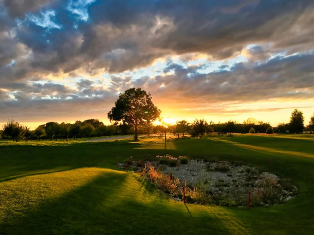 Fürstliches Golf-Resort Bad Waldsee, Golf, 45-Loch Golf-Anlage, LED Nachtgolf-Anlage, Golfschule, Golfturniere, New Course, Old Course, 9-Loch-Kurzplatz, Greenkeeping, Fürstlicher Golf-Club Oberschwaben, Fürstliches Golf-Hotel, Golf-Angebote, Golf-Schnupperkurse, Natur-Lehrpfad, Rund-Wanderwege, Kaffee, Restaurant, Vinothek, erlesene Weine, Bar, selbstgebackene Kuchen, Snacks, Mittagstisch, Sonnenterrasse, Gin - Greenkeeper's Cut, Bier vom Fass, kleine Gerichte, Burger, vegetarisch, vegan, Laktose frei, Gluten frei, Café-Restaurant Ausblick T-19, Restaurant im Hofgut