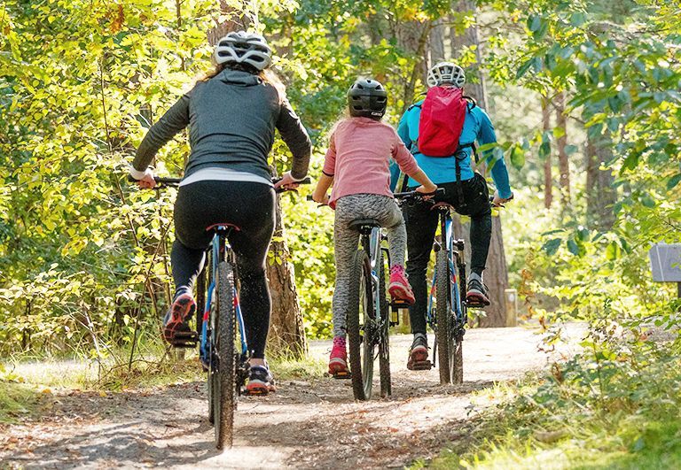 Fürstliches Golf-Resort Bad Waldsee, Golf, 45-Loch Golf-Anlage, LED Nachtgolf-Anlage, Golfschule, Golfturniere, New Course, Old Course, 9-Loch-Kurzplatz, Greenkeeping, Fürstlicher Golf-Club Oberschwaben, Fürstliches Golf-Hotel, Golf-Angebote, Golf-Schnupperkurse, Natur-Lehrpfad, Rund-Wanderwege, Kaffee, Restaurant, Vinothek, erlesene Weine, Bar, selbstgebackene Kuchen, Snacks, Mittagstisch, Sonnenterrasse, Gin - Greenkeeper's Cut, Bier vom Fass, kleine Gerichte, Burger, vegetarisch, vegan, Laktose frei, Gluten frei, Café-Restaurant Ausblick T-19, Restaurant im Hofgut