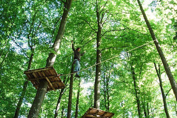 Fürstliches Golf-Resort Bad Waldsee, Golf, 45-Loch Golf-Anlage, LED Nachtgolf-Anlage, Golfschule, Golfturniere, New Course, Old Course, 9-Loch-Kurzplatz, Greenkeeping, Fürstlicher Golf-Club Oberschwaben, Fürstliches Golf-Hotel, Golf-Angebote, Golf-Schnupperkurse, Natur-Lehrpfad, Rund-Wanderwege, Kaffee, Restaurant, Vinothek, erlesene Weine, Bar, selbstgebackene Kuchen, Snacks, Mittagstisch, Sonnenterrasse, Gin - Greenkeeper's Cut, Bier vom Fass, kleine Gerichte, Burger, vegetarisch, vegan, Laktose frei, Gluten frei, Café-Restaurant Ausblick T-19, Restaurant im Hofgut