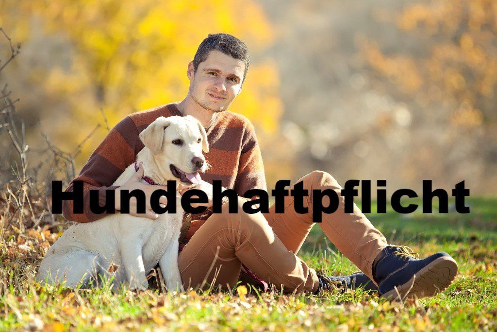 Vergleich Hundehaftpflichtversicherung Vergleich Hundehaftpflichtversicherung