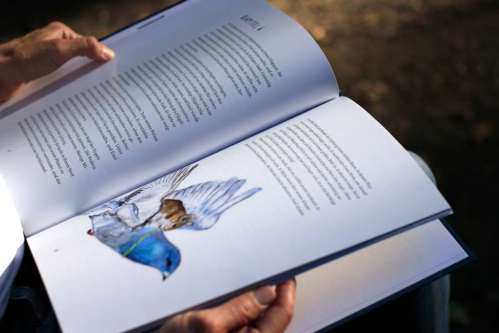 Ein Blick ins Buch „Die Abenteuer von Emil Mausezahn und seinen Freunden“ von Simone Harsch, Kapitel 6