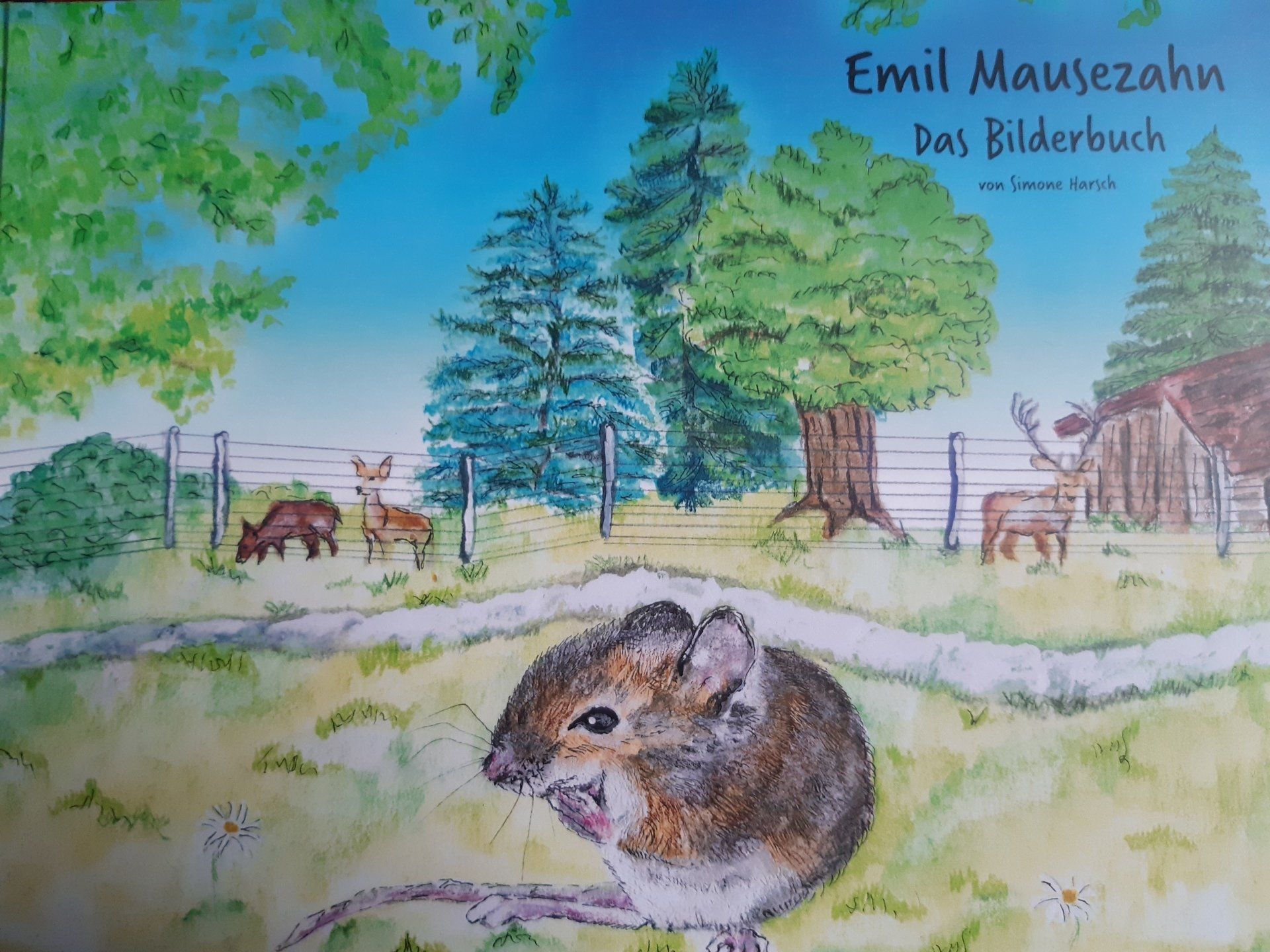 Aufrechtstehendes Buch Die Uunglaublichen Abenteuer von Emil Mausezahn und seinen Freunden