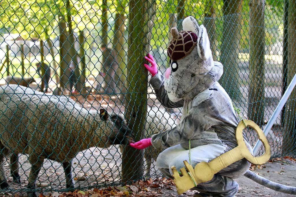 Emil Mausezahn füttert ein Schaf