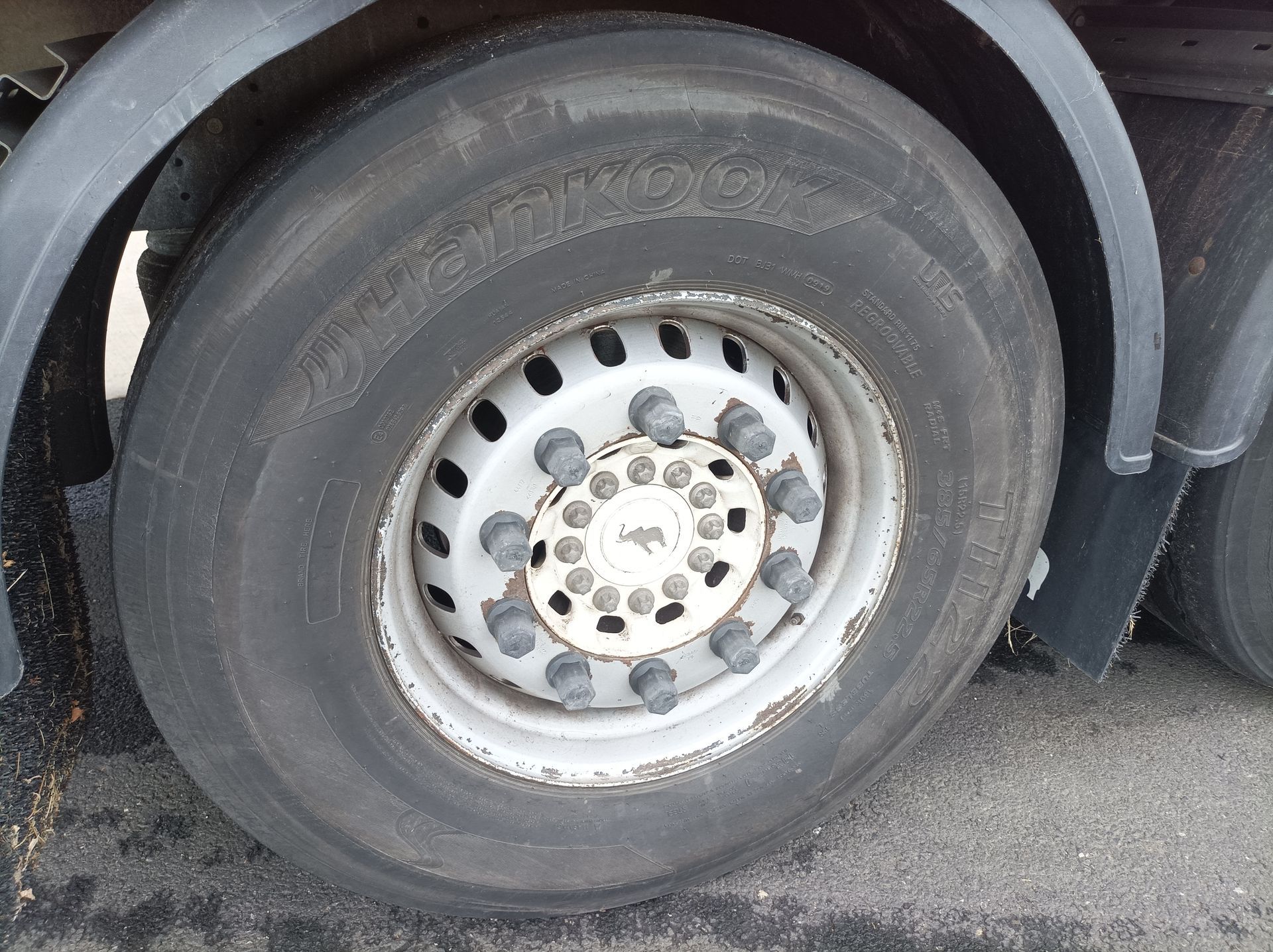 Semi remorque bâchée Tautliner SCHMITZ CARGOBULL