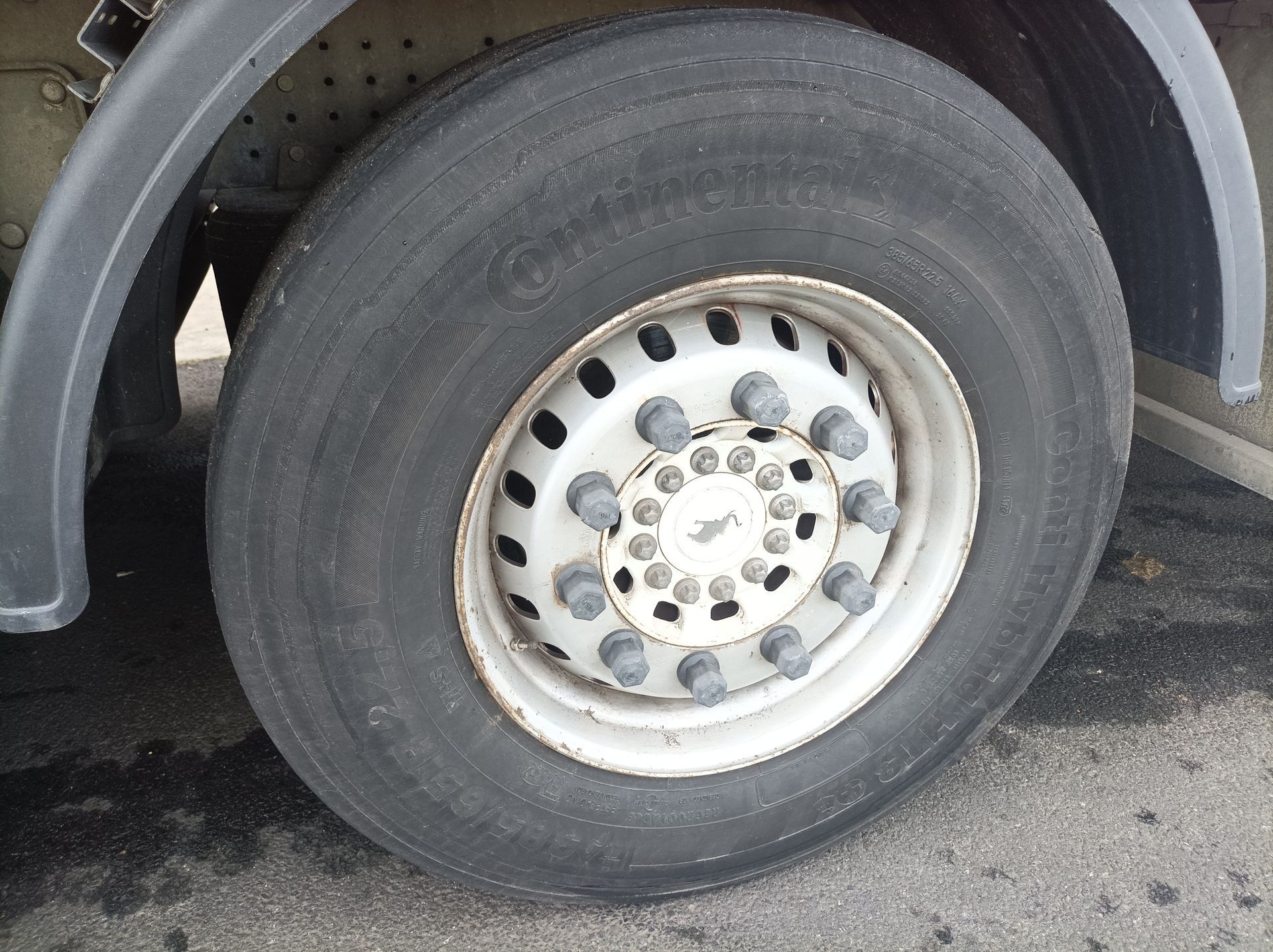 Semi remorque bâchée Tautliner SCHMITZ CARGOBULL