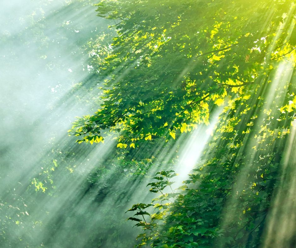 https://kathlinkastilan.com/soulwalk-am-tollensesee Soulwalk & Naturcooaching mit Kathlin