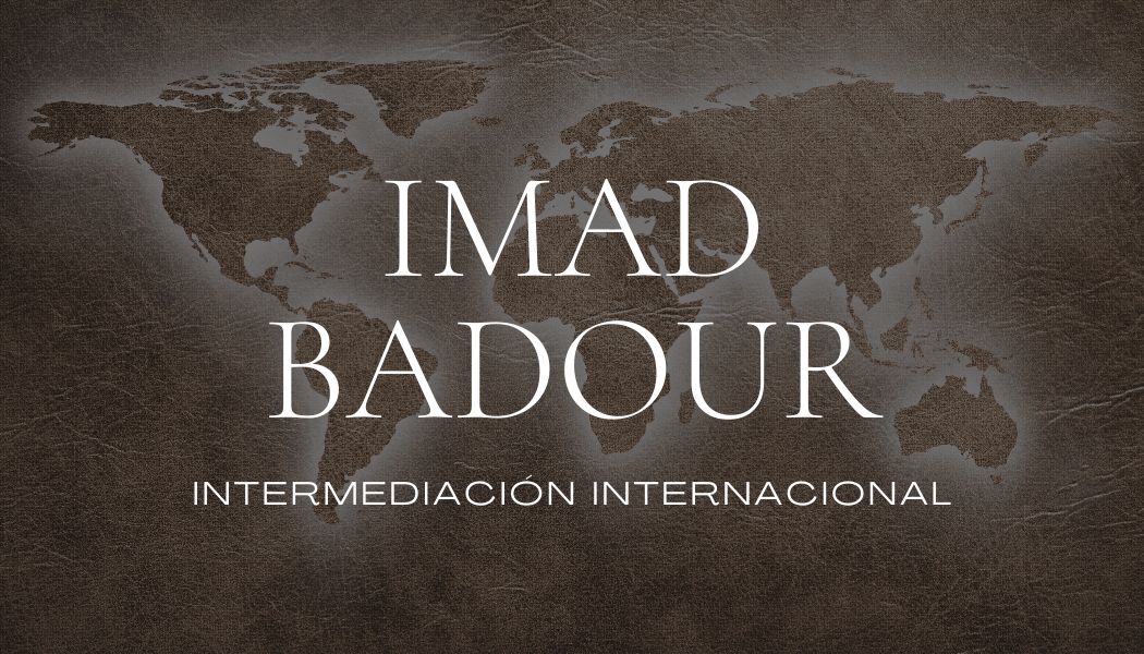 Visión es el arte de ver lo que es invisible para otros. Imad Badour