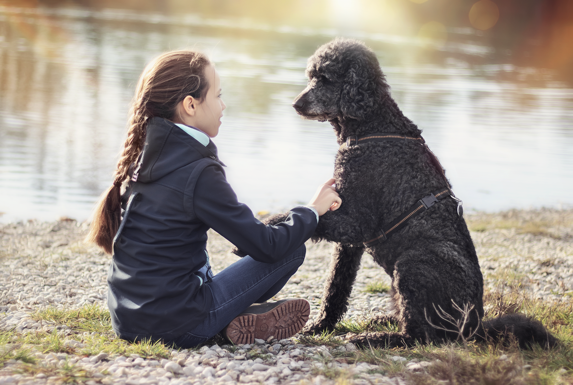 Hundetraining Melanie Lob