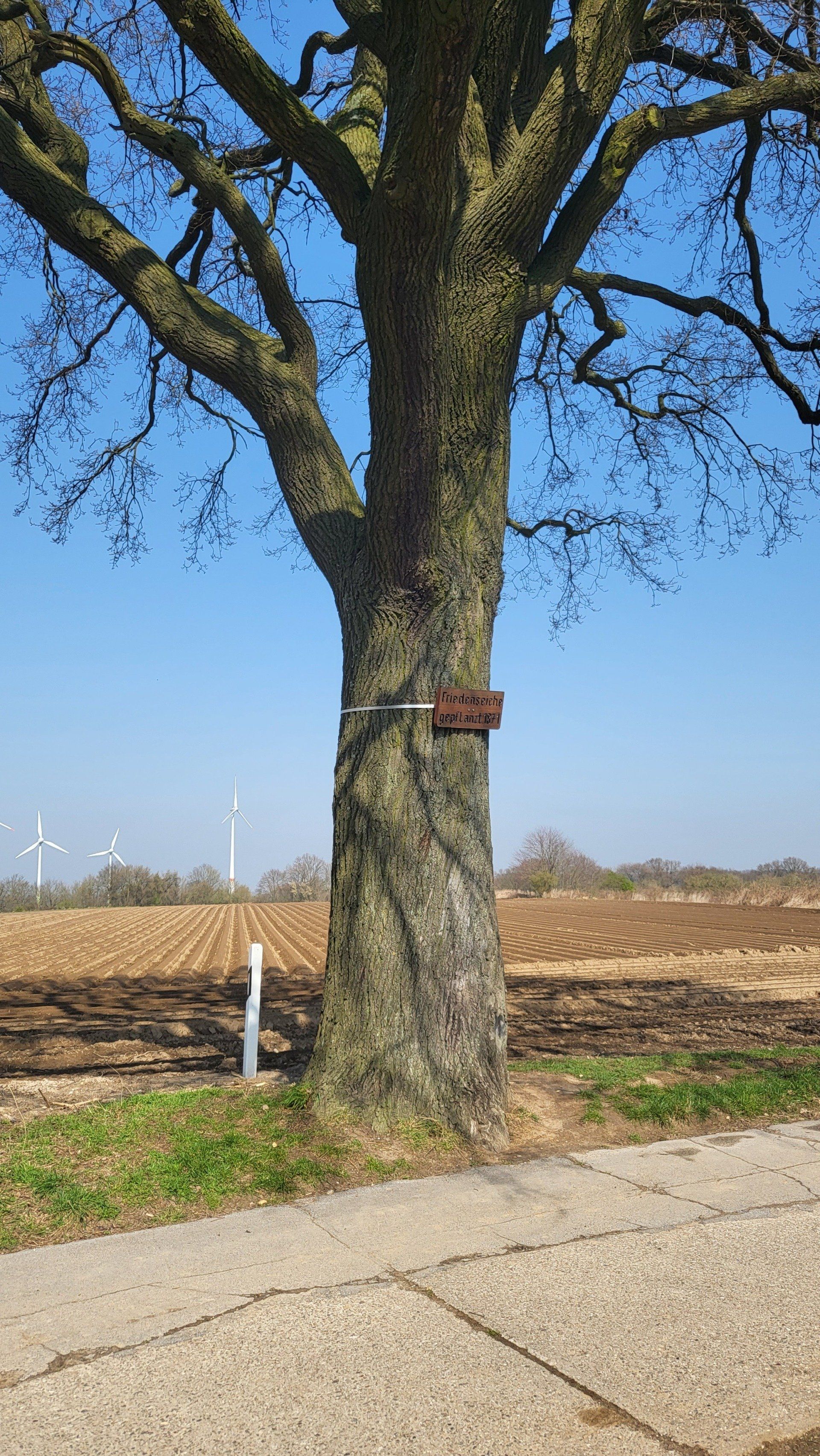 Friedenseiche Rheurdt