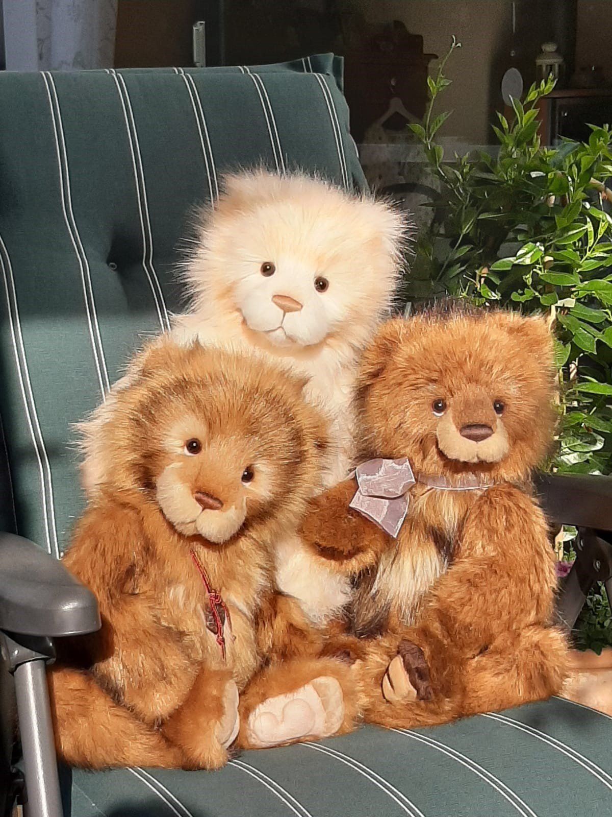 Willamena, Wilfy & Bearhugs