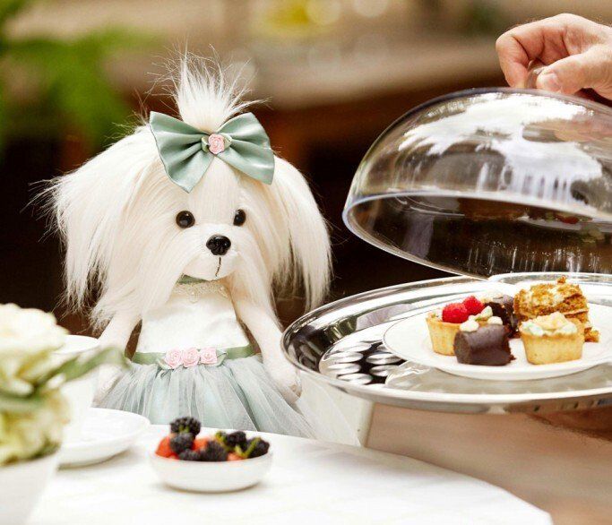 LUCKY DOGGY by ORANGE TOYS with YOYO, BETSY, MAXX, KIKI, BLACKY, LILI, BOBBY, DOLLY, MIMI, BUZZ and ALEX