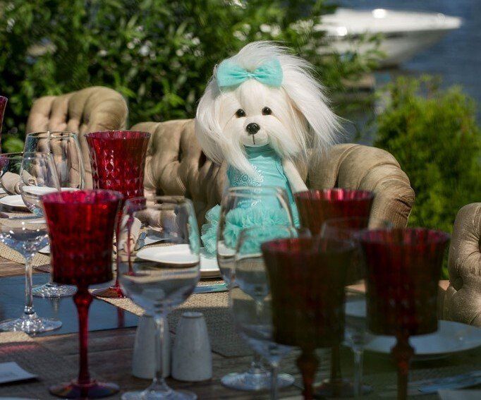 LUCKY DOGGY von ORANGE TOYS mit YOYO, BETSY, MAXX, KIKI, BLACKY, LILI, BOBBY, DOLLY, MIMI, BUZZ und ALEX