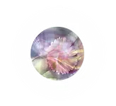 Colour-spirit beim Feuerlauf Daikeler-Feuerlauf-Feuerlaufen-Feuerlaufseminar-Feuerlaufseminare-gluehende-Kohlen-Kohlenlauf