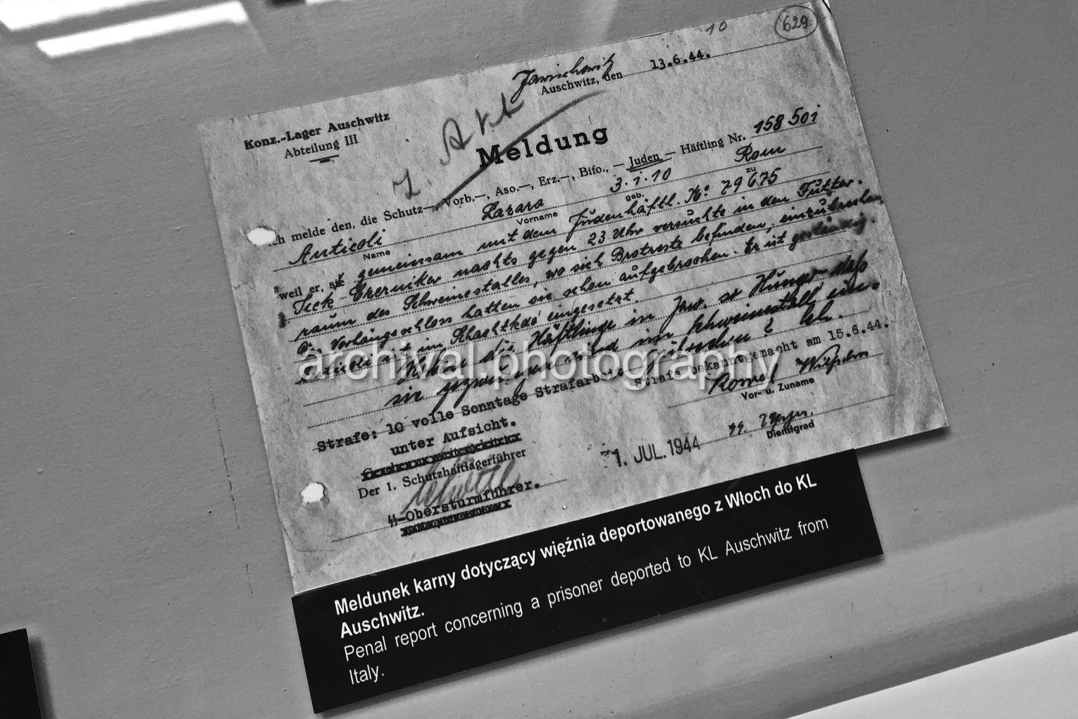 LEDGER - Auschwitz Concentration Camp -