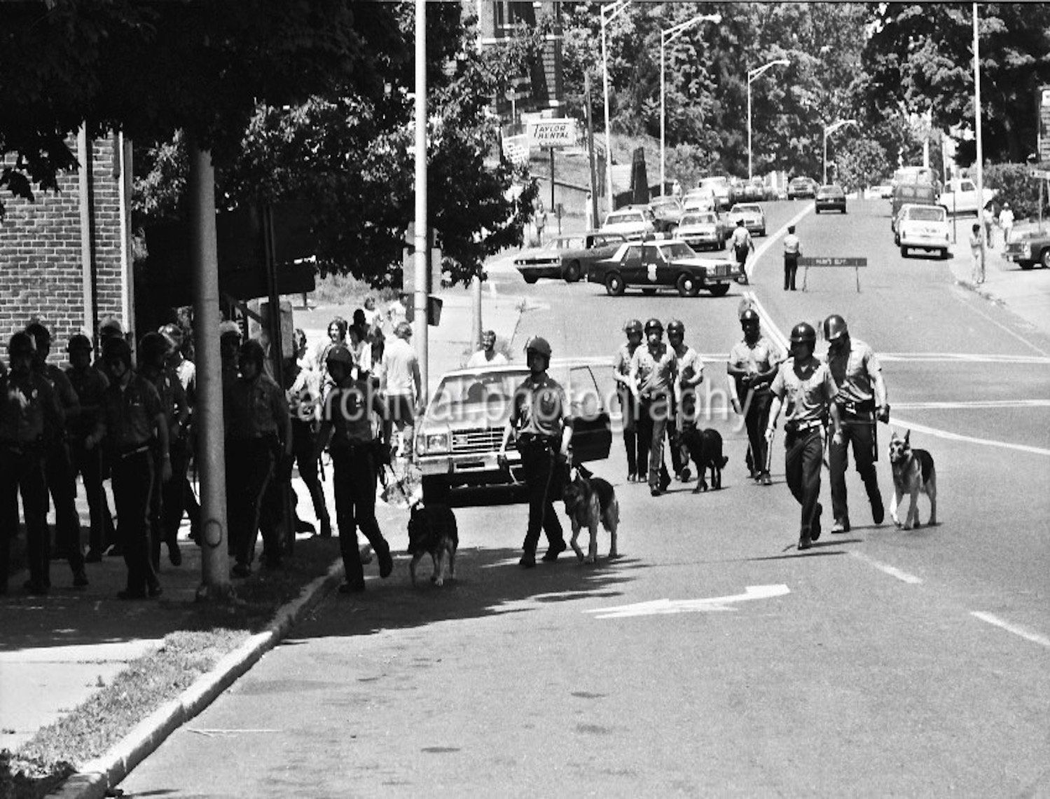 Police officers walking up street with police dogs