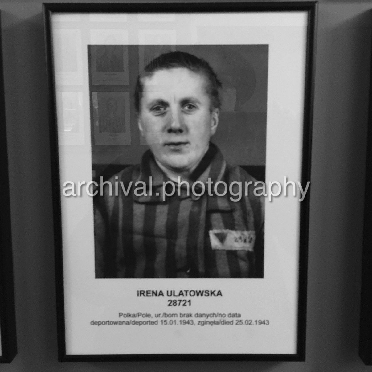 Photo of Auschwitz victim - Auschwitz Concentration Camp -