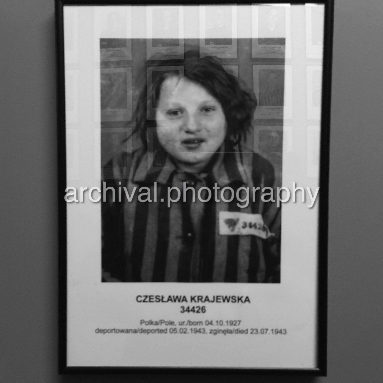 Photo of Auschwitz victim - Auschwitz Concentration Camp -