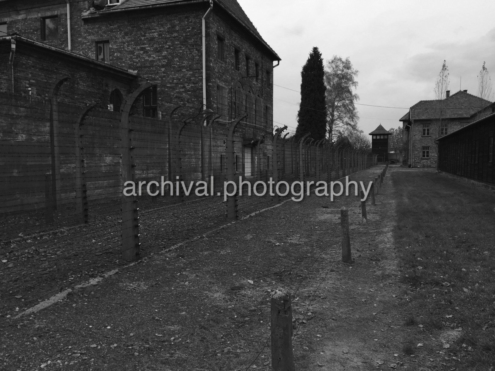 Pathway with barbed wire fencing surrounding rows of buildings - Auschwitz Concentration Camp -