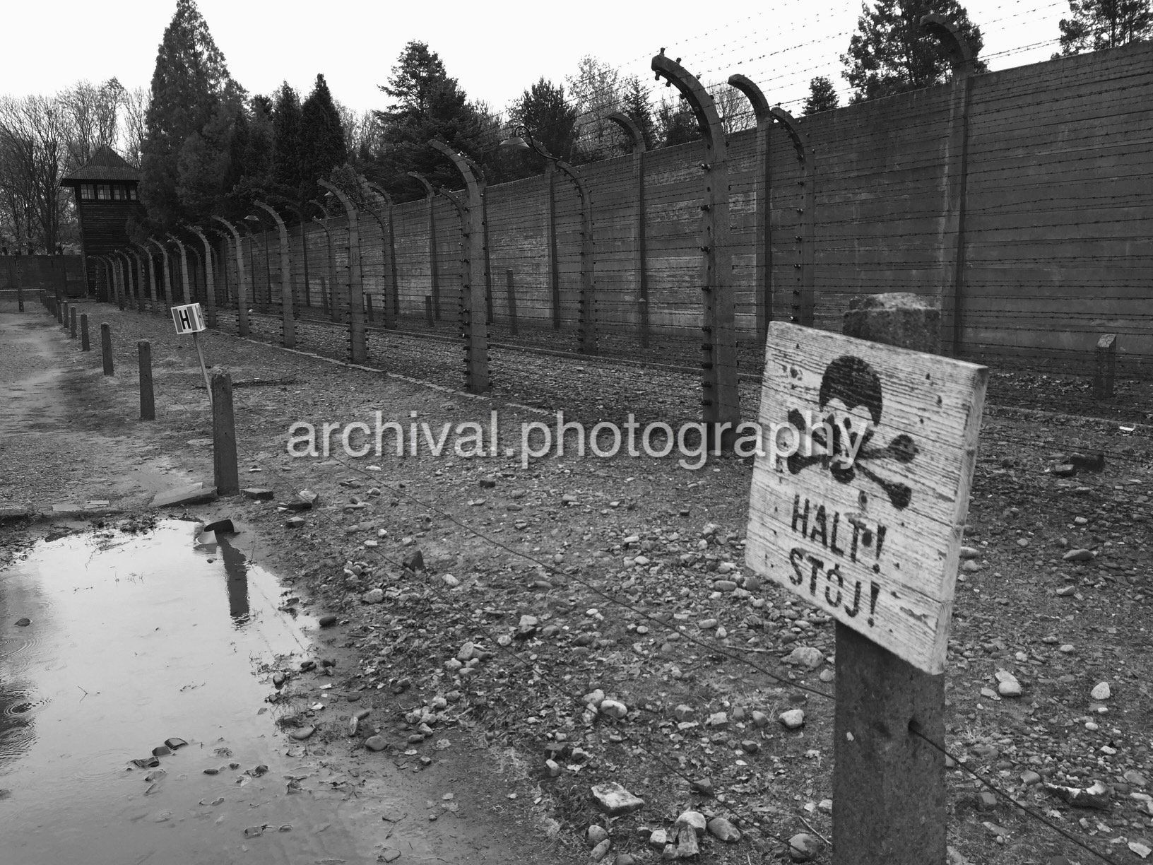 Auschwitz Concentration Camp -