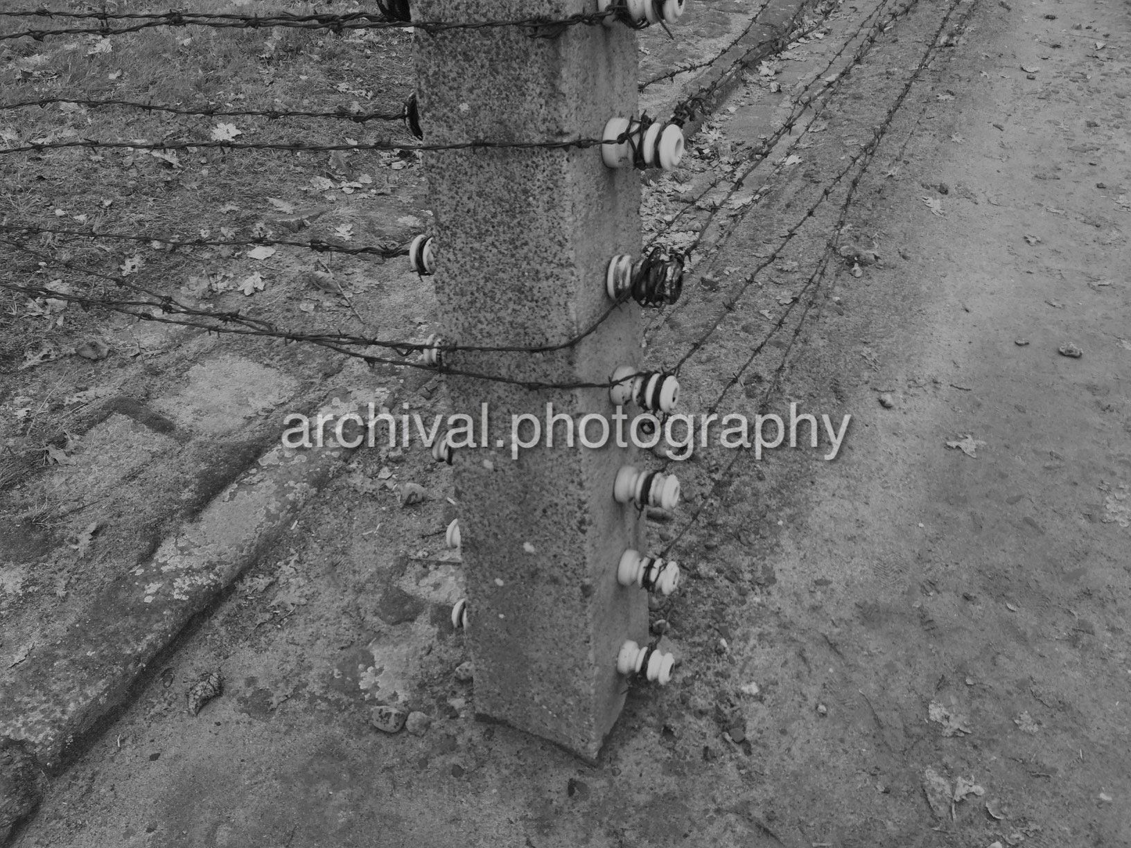 Barbed wire fence wrapped around pole - Auschwitz Concentration Camp -