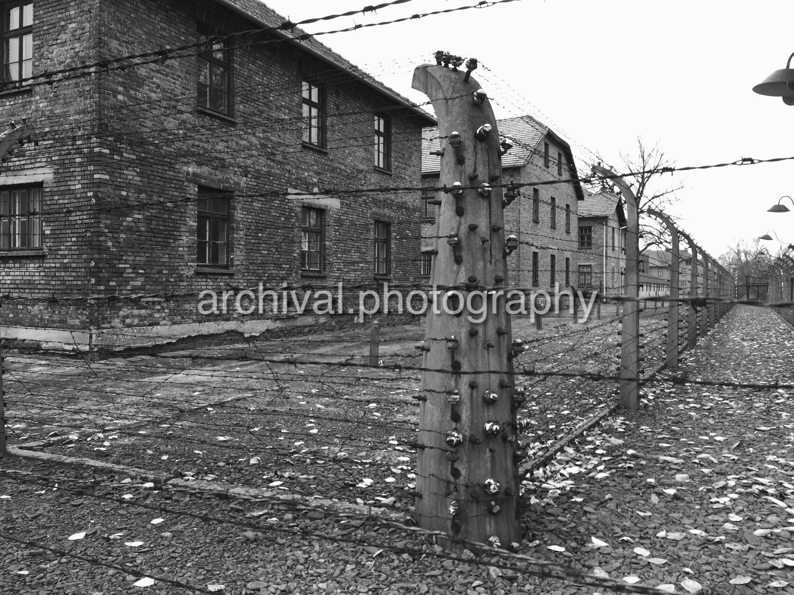 Row of buildings behind barbed wore fence - Auschwitz Concentration Camp -