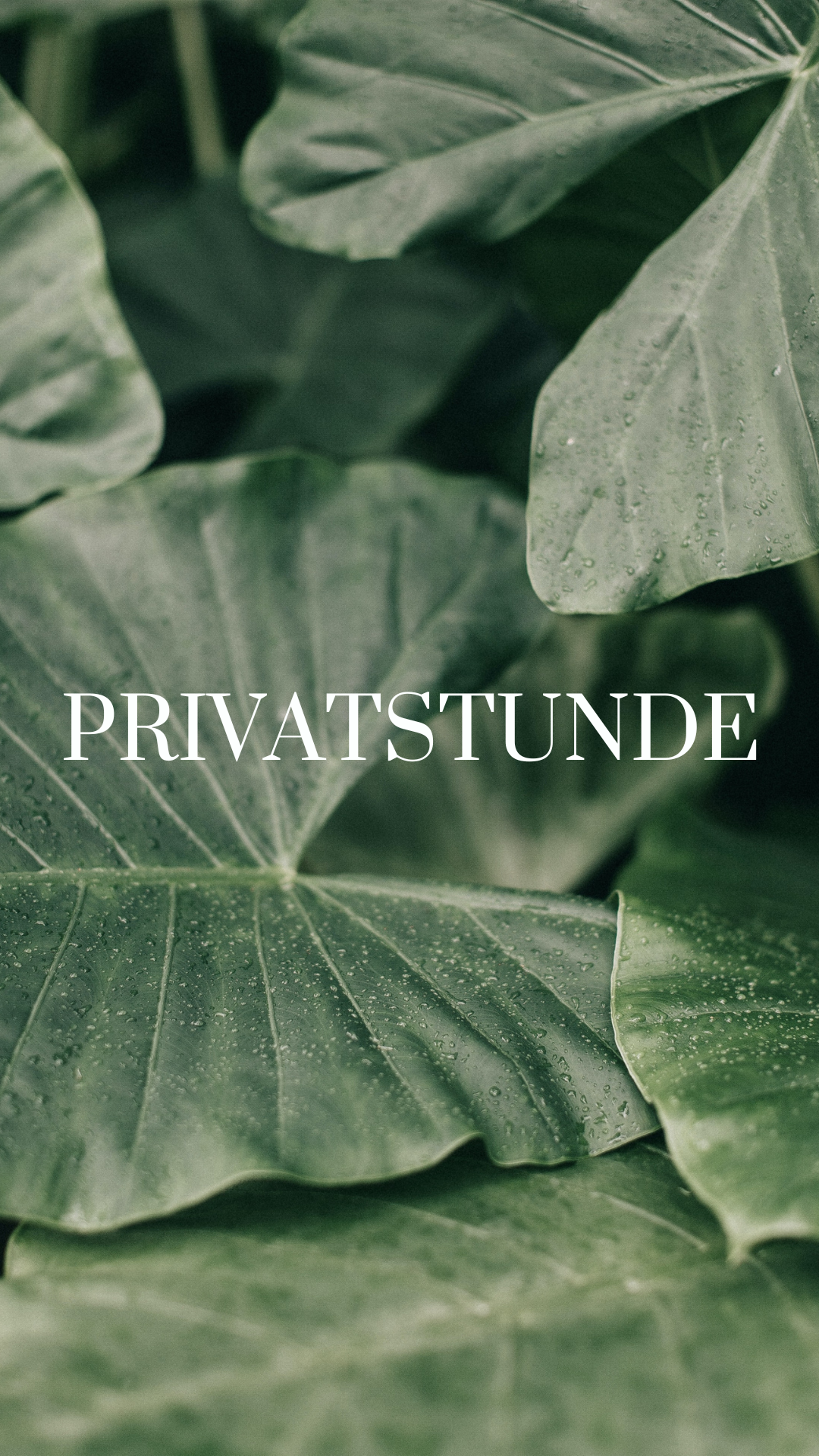 Yoga Karlsfeld Dachau Privatstunde Hatha Yoga Yin Yoga Rückbildungsyoga