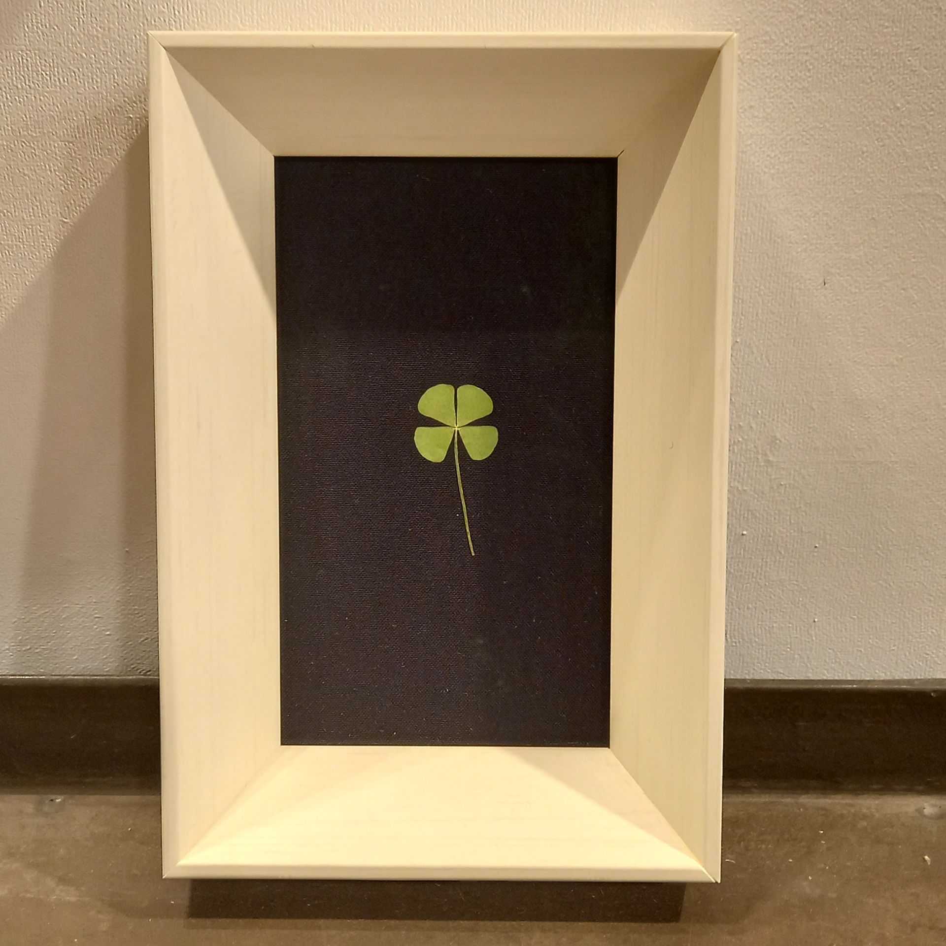 cuadros para flores secas en Zaragoza
Cuadros para flores frescas en zaragoza
cuadros baratos para flores en zaragoza
enmarcación de trébol de cuatro hojas
enmarcaciones curiosas en Zaragoza
Cuadros para flores de papel en zaragoza
Enmarcación barata para flores de papel en zaragoza
Cuadros para poner flores dentro
Cuadros para flores secas en zaragoza
Cuadros baratos en zaragoza capital