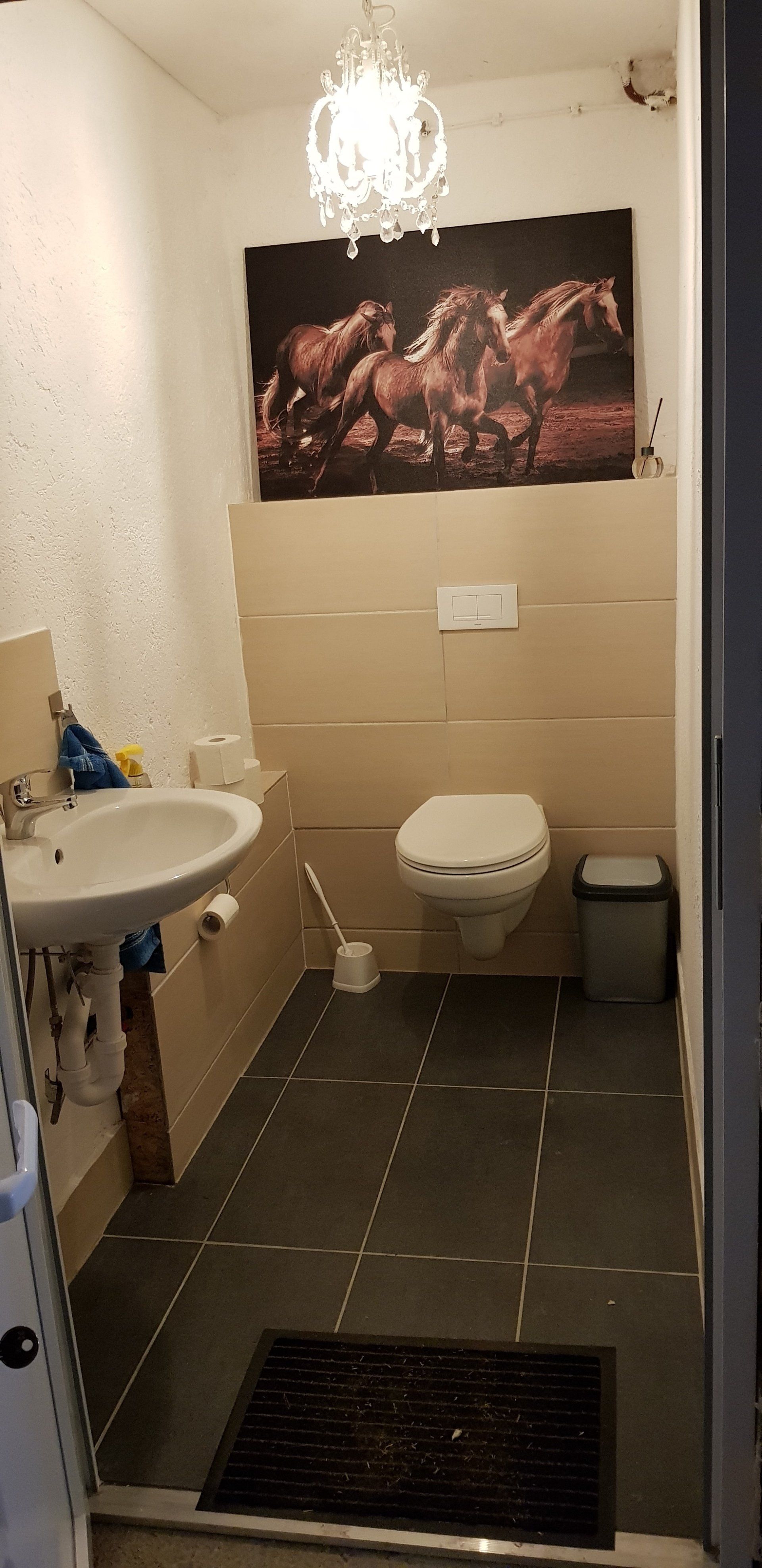 Gäste-WC in der Sattelkammer