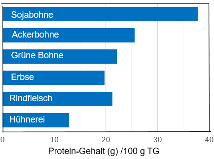 Proteingehalte _leguminosen