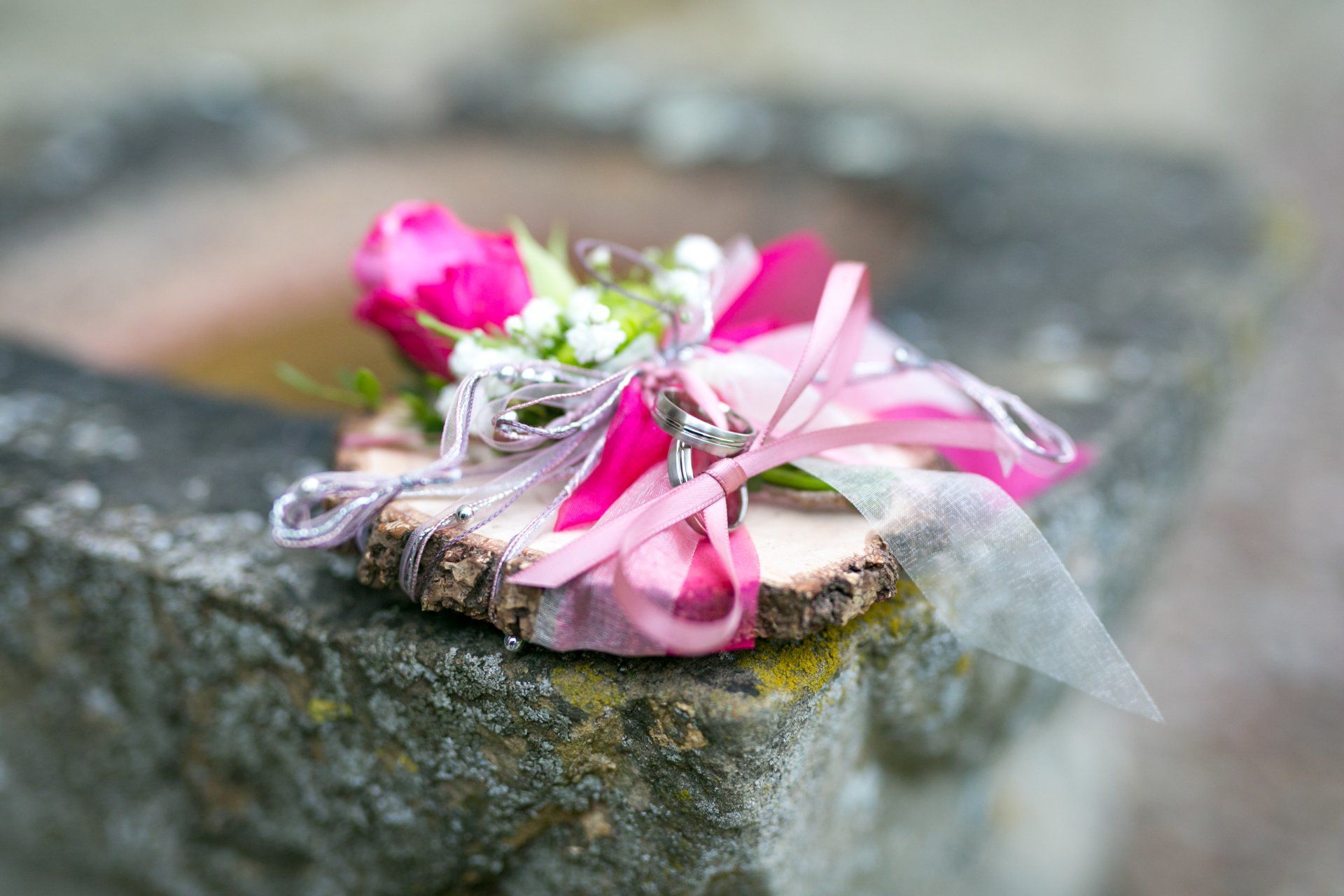 Hochzeit, Springe, Foto, Rod Enberg, Hannover, Sommer, Hessisch Oldendorf, Eheringe, Ringe, Ringkissen,Farbe