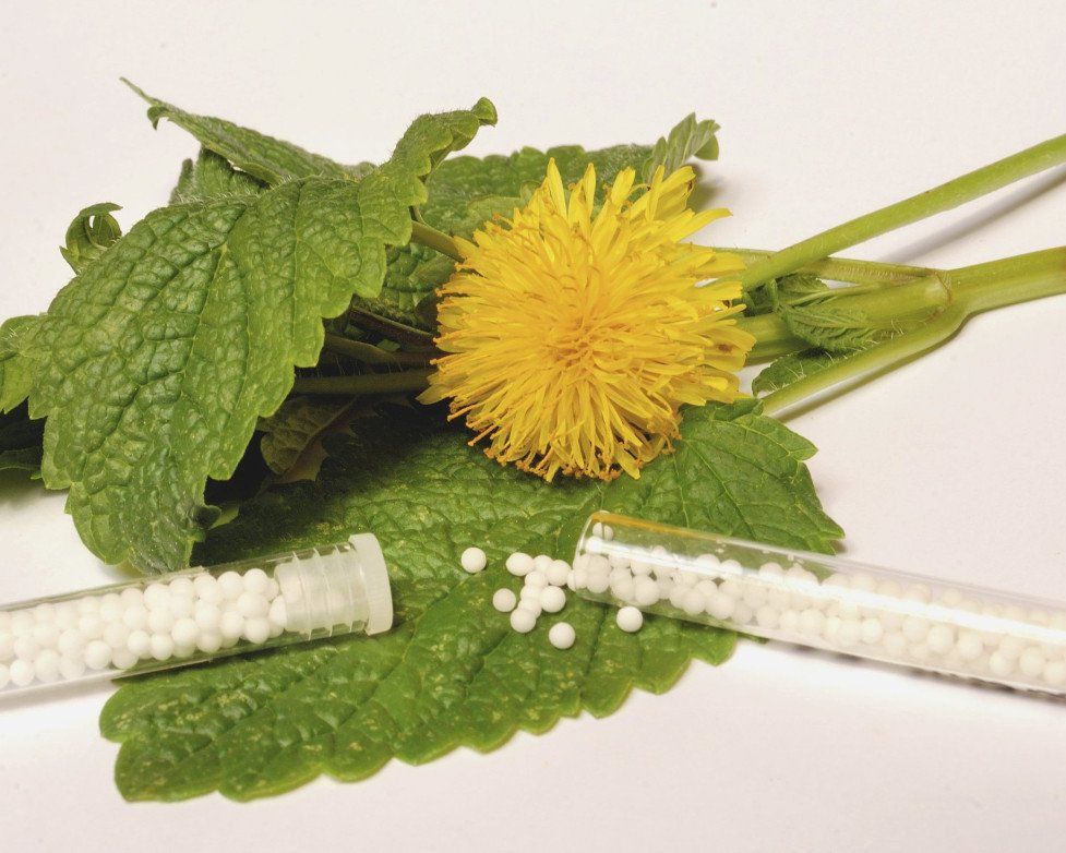 Klassische Homöopathie Heilpraktikerin Kathrin Buhl Selm