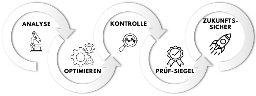 Analysediagramm für IT-Security Checks