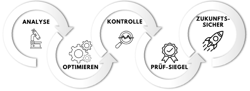 Analysediagramm für IT-Security Checks