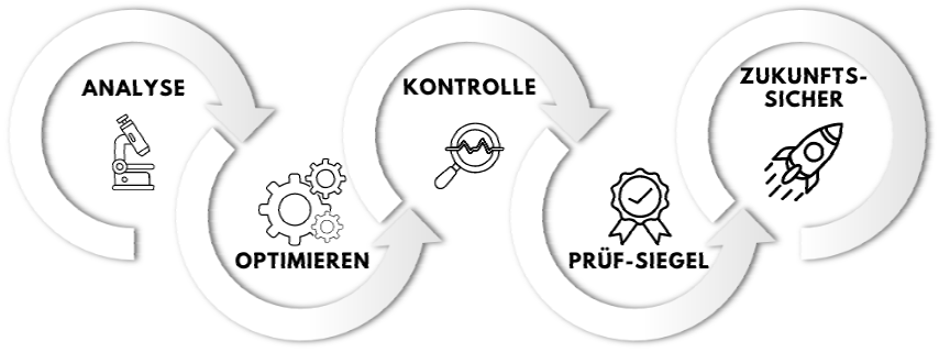 Analysediagramm für IT-Security Checks