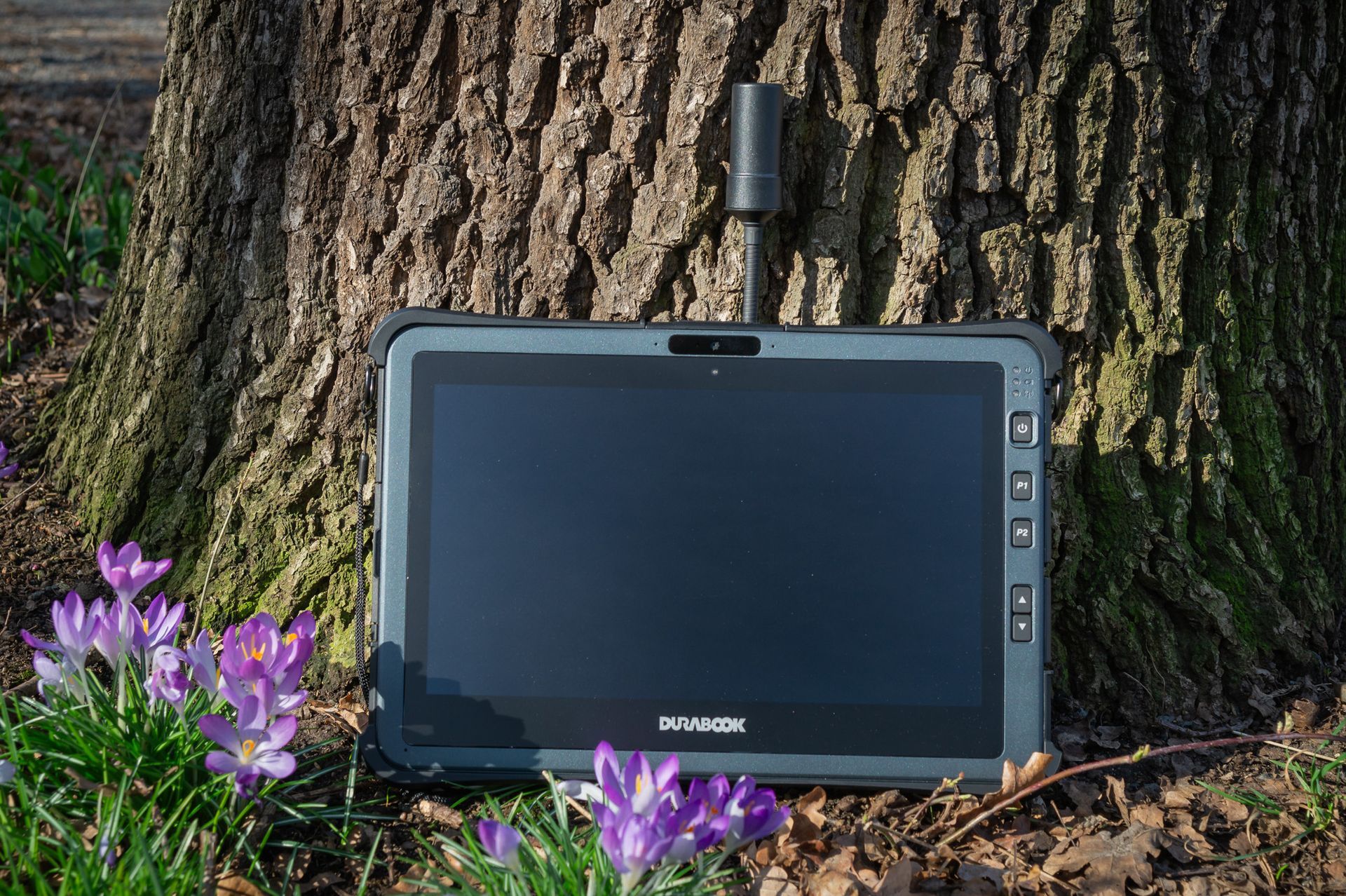 CosiFan MCC 3E - draußen vor einem Baum, an einem Baum anlehnend