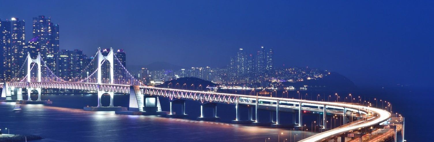 Eine Brücke in Südkorea bei Nacht