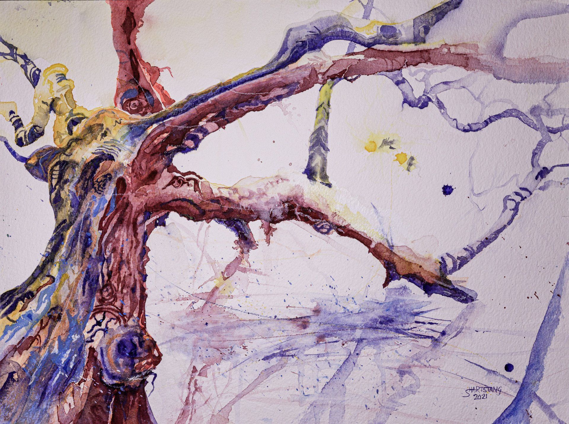 Baum am See Glücksburg, ein Aquarell von Stephanie Hartstang, Atelier Südereiche