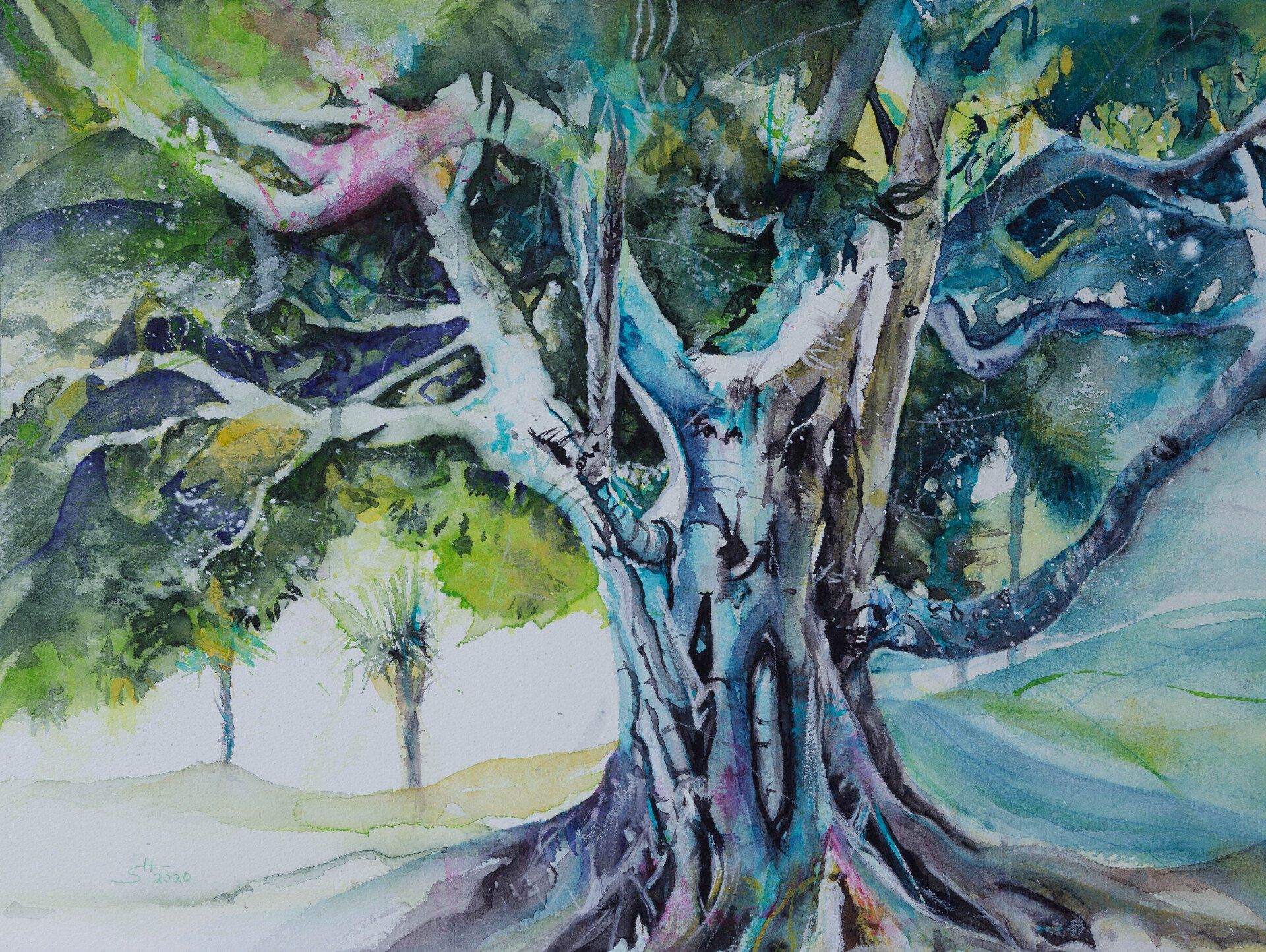 Fig in Santa Barbara, Feige in Santa Barbara, tree, a watercolor painting of Stephanie Hartstang, Suedereiche.Art