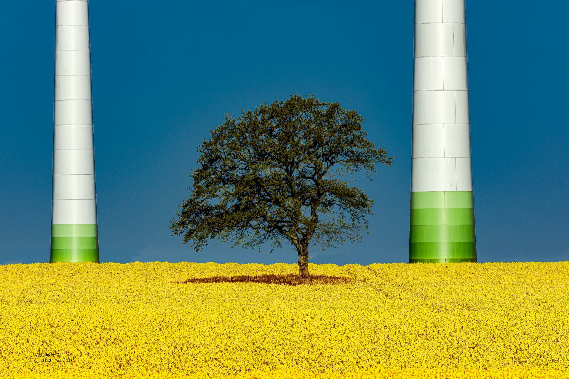 Green Yellow Energy, prämierte Fotografie von Thomas Hartstang, südereiche.art, Minimalismus, fine art fotografie, Landschaftsfotografie
