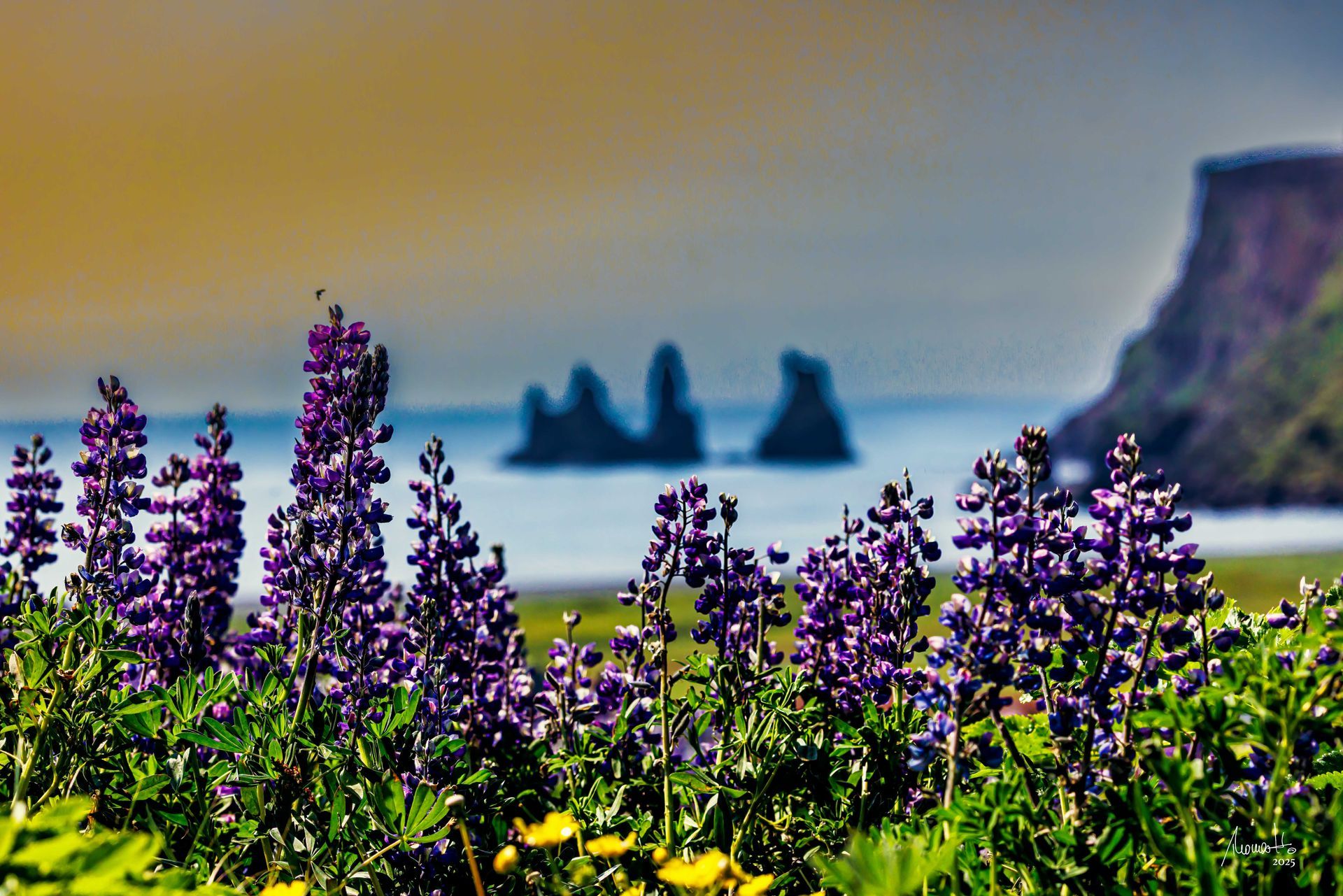 Reinisdrangar, Fotografie, ein Fine Art Druck aus der Limited Edition Serie von Thomas Hartstang, Suedereiche.Art, Island