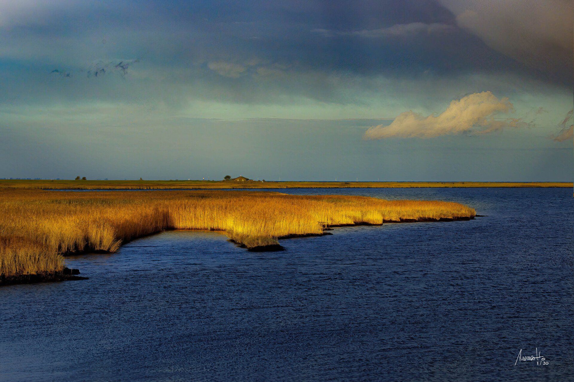 Vogelschutzhütte Schleimünde, Fotografie, ein Fine Art Druck aus der Limited Edition Serie von Thomas Hartstang, Suedereiche.Art, Deutschland, Ostsee, Schlei, Maasholm. Vogel