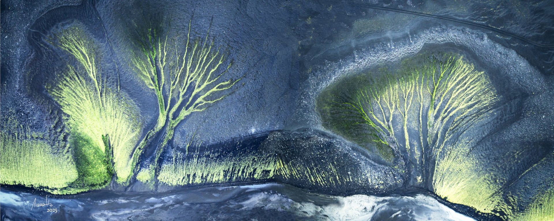 Synthesis of Life, prämierte Fotografie von Thomas Hartstang, südereiche.art, Landscahftsfotografie, fine art fotografie