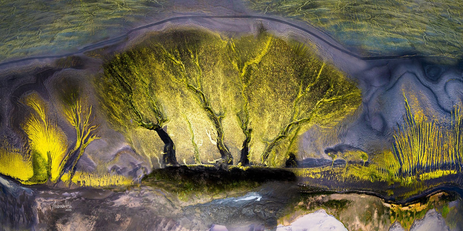 Forest of Light, eine Fotografie von Thomas Hartstang, suedereiche.art, Island, Hochland, Vulkan, Strukturfoto, Shop